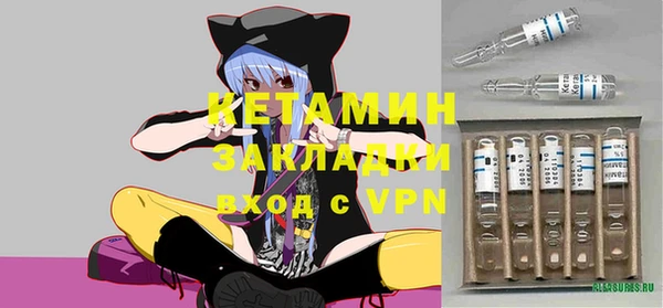 стаф Корсаков