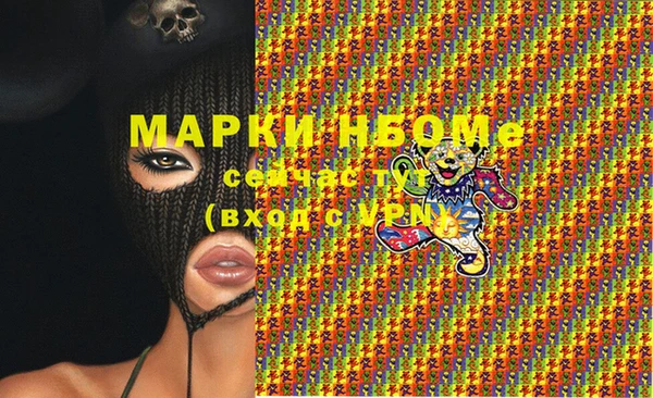 стаф Корсаков