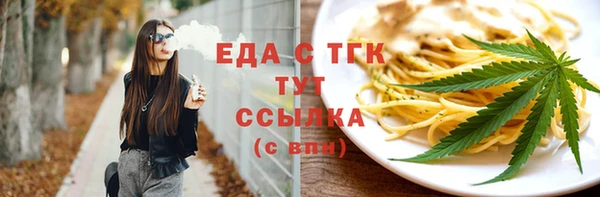 стаф Корсаков