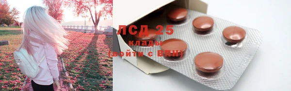 стаф Корсаков