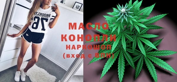 стаф Корсаков