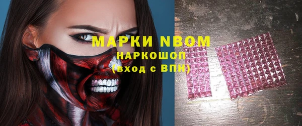 стаф Корсаков