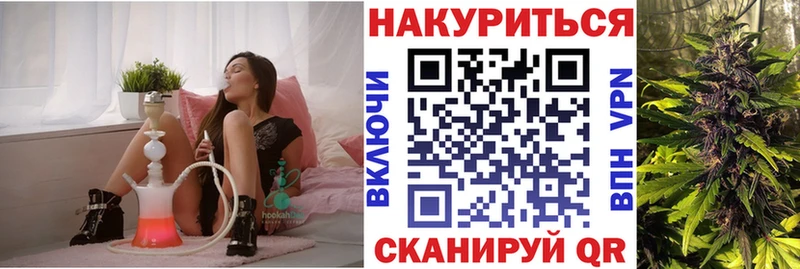 Купить где  Островной  Канабис семена 